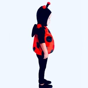 2/$25 Fun of a Kind | Baby Ladybug 12M